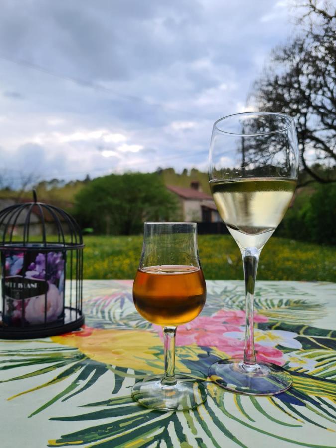 La Perle De Frayssinet-Le-Gelat - Chambre D'Hotes - B&B Eksteriør billede